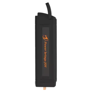 ELECTRIC BIKE BATTERY 36V FOR A20