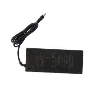 ELECTRIC BIKE CHARGER 48V