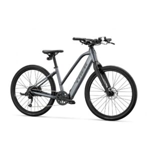 TREK Dual Sport+ 2
