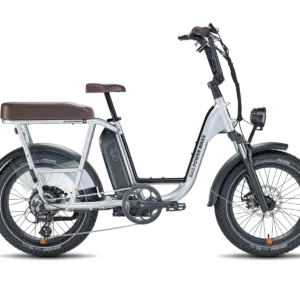 Rad Power – RadRunner Plus
